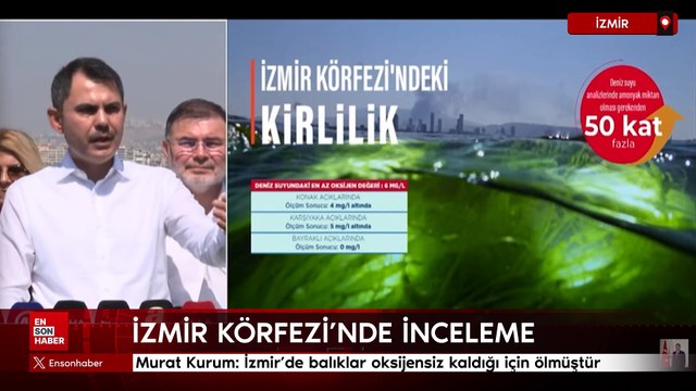 Murat Kurum: İzmir'de balıklar oksijensiz kaldığı için ölmüştür