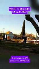 Tarde de invierno en el Hongo - Tacuarembó (13/08/2024)