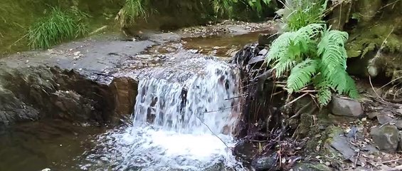 Cómo Grabar Vídeos en 4K con Ratio 21:9 para una Calidad Impecable 🎥