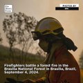 Forest fire consumes 20 percent of the largest natural park in Brasília