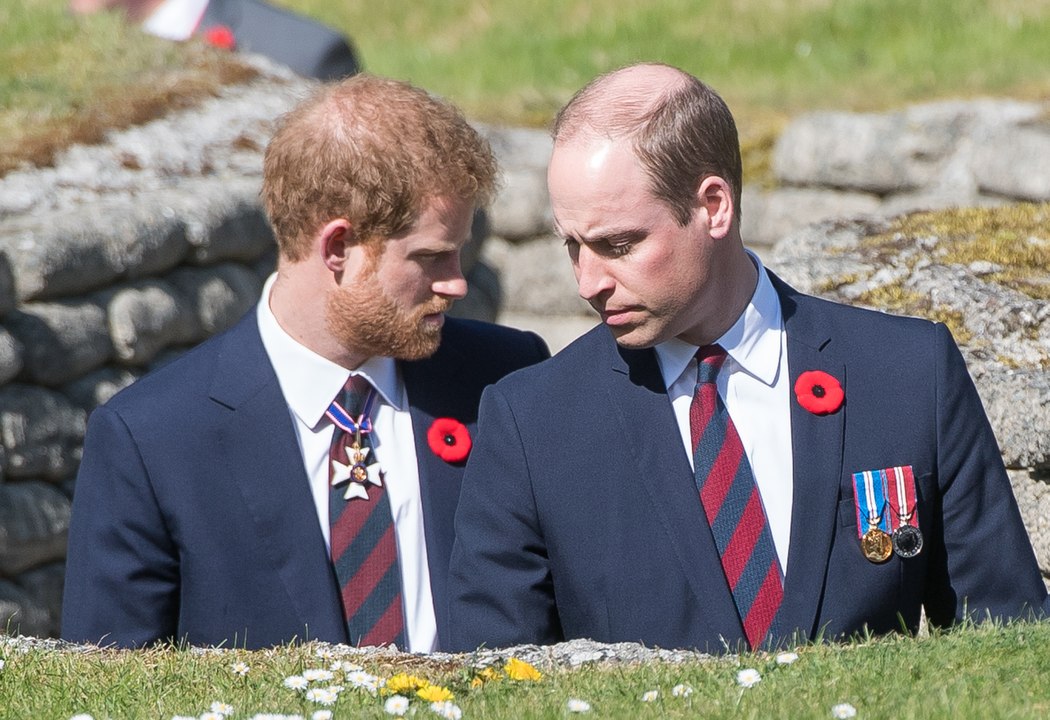 "Soit il est bête, soit il le fait exprès" : tension entre le prince Harry et le prince William