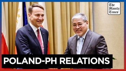 Polish Minister of Foreign Affairs Radoslaw Sikorski attends a bilateral meeting in Manila