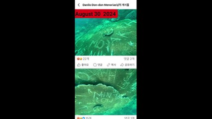 보홀 산호에 한국인 추정 이름...다이빙 금지 / YTN