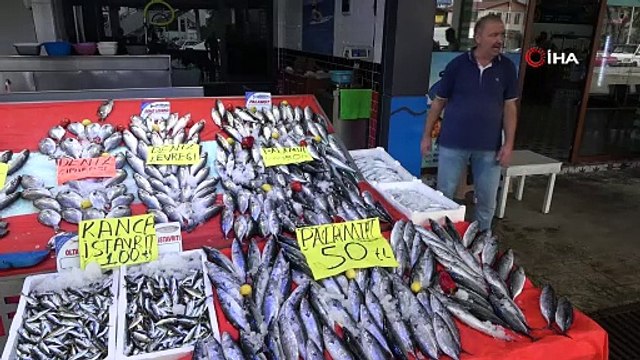 Palamut bereketlendi! 3 tanesi 100 liraya kadar düştü