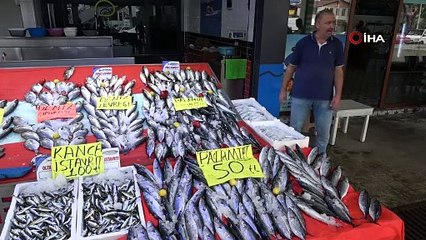 Palamut bereketlendi! 3 tanesi 100 liraya kadar düştü