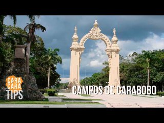 "En los campos de Carabobo nació políticamente Colombia"