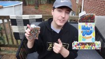 MrBeast Put 100 Million Orbeez In My Friend s Backyard