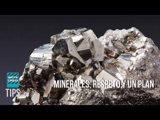 Lo que India ofrece a quienes entren al Brics