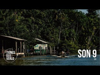 Delcy en Brasil: Una por una de las propuestas de Venezuela en la Cumbre de la Amazonía