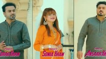Tery Watan Tyn Sanwal Nah Asoo (new Punjabi song 2024) punjabi songguitar love song _viral(720P_HD)