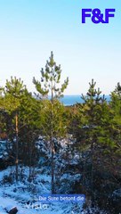 Sure Yasin-kurze Erklärung