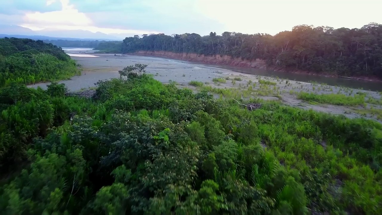 Amazon Jungle by Eagle Eye