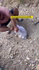 Ağzı Bağlı Çuvalda Yavru Köpek Bulundu