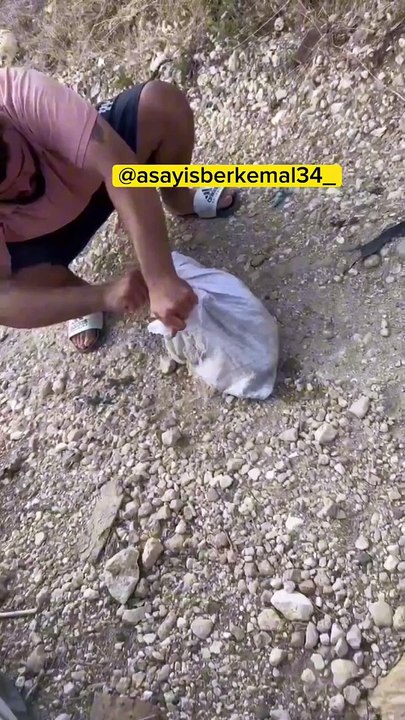 Ağzı Bağlı Çuvalda Yavru Köpek Bulundu