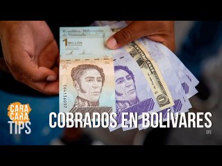 Los tributos tienen que ser cobrados en bolívares: Diputado Ramón Lobo