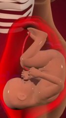 Precious Baby Moments Baby in the Womb| Miracle of Life| Unborn Baby Development|