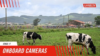 La Vuelta 2024 Stage 17 Daily Onboard Highlights 🚴‍♂️