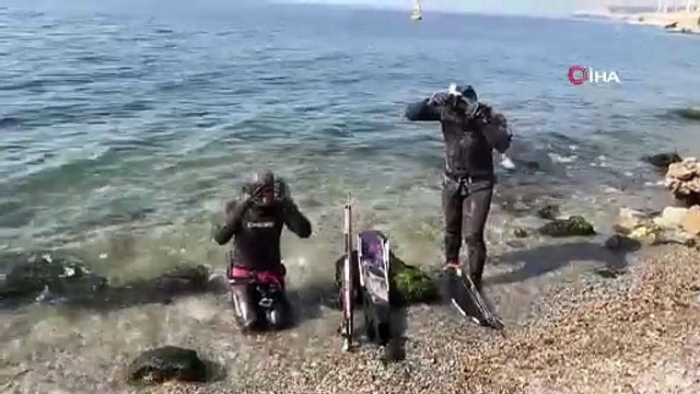 Tam 3 gün sonra kıyıya çekebildiler! 2 dalgıç 320 kilo orkinos avladı