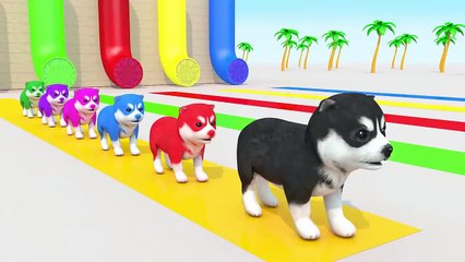 Fun KidsToon Cartoon To Learn Colors Colorful Animals at the Zoo - Nursery Rhymes, Kids Songs and Cartoons for Children