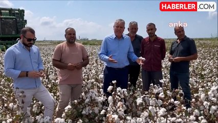Pamuk Üreticileri Maliyetin Altında Satıyor