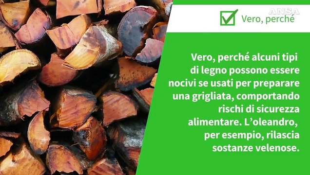 ANSA VERIFIED - E' vero che alcuni tipi di legna non sono idonei per le grigliate e gli usi alimentari?