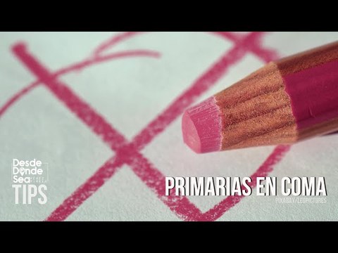 ¡A pocas horas de las primarias!: Renunció la vicepresidenta de la Comisión de Primarias de Guárico