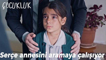 Serçe annesini aramaya çalışıyor - Çocukluk