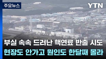 부실 속속 드러난 핵연료 반출 시도...현장도 안가고 원인도 한달째 몰라 / YTN