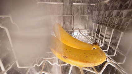Why Your Dishwasher Isn’t a Produce Cleaner…