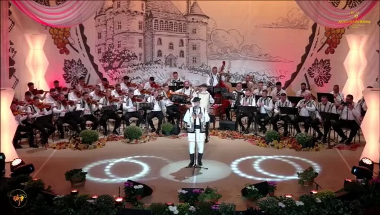 Sebastian Serban - Festivalul Strugurele de aur - Alba-Iulia - 04.09.2024
