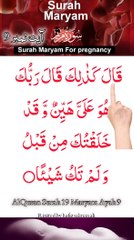Al-Quran - Surah 19 - Maryam - Ayah 9 | quran tilawat everyday | hafiz salman ali
