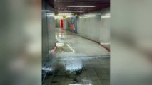 Piove nella metro a Milano: in via Cassala, invece, le automobili rimangono intrappolate nell'acqua