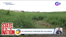 Babae, patay matapos suwagin ng kalabaw | SONA