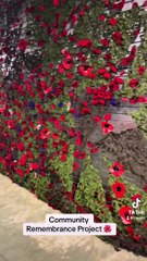 Skegness Poppy Appeal needs you!