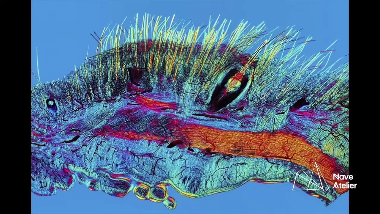 Introducción a los estudios del arte