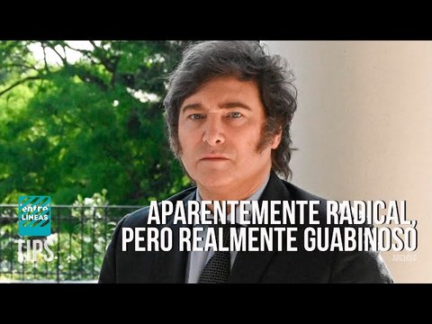 Con recursos públicos e intereses privados: así gobernará Milei la Argentina