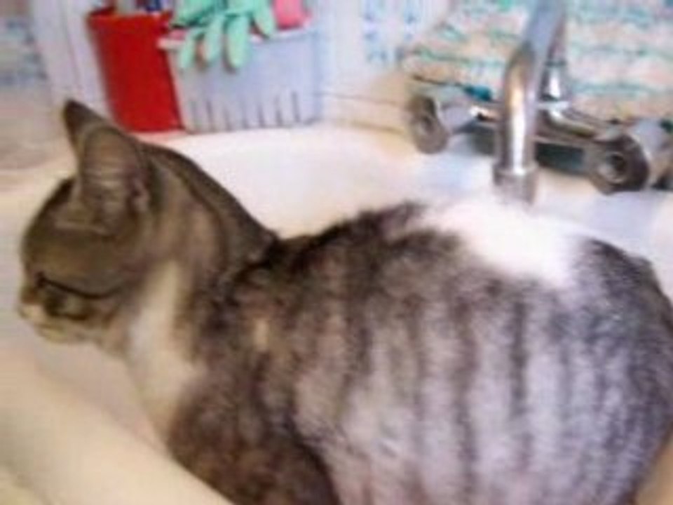 Diabolo prend sa douche