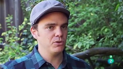 Aluvión de Datos: Estrategias para la Toma de Decisiones