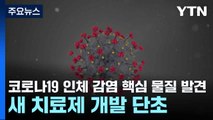 코로나19 인체 감염 핵심 물질 발견...새 치료제 개발 단초 / YTN