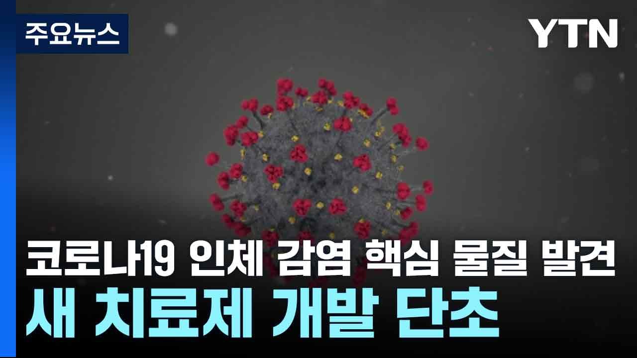 코로나19 인체 감염 핵심 물질 발견...새 치료제 개발 단초 / YTN