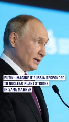 Putin: Imagine if Russia Responded to Nuclear Plant Strikes in Same Manner