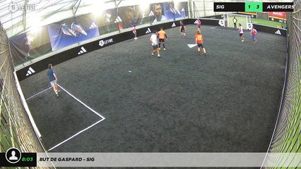 But de Gaspard - SiG