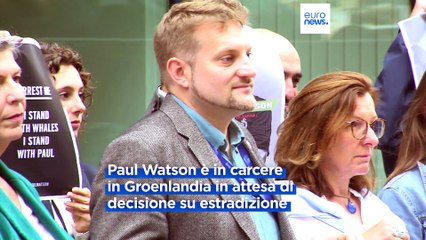 Ambiente, eurodeputati chiedono il rilascio di Paul Watson che si batte contro caccia balene