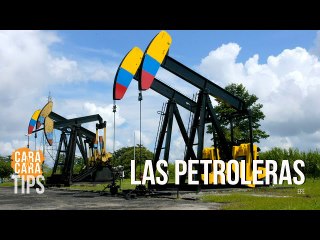 "Está claro para las petroleras en el mundo que el Esequibo es un territorio en disputa"