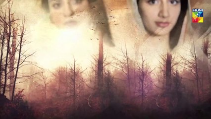 Sabaat Episode 13 | Eng Sub | Digitally Presented by Master Paints | Digitally Powered by Dalda