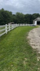 "The Most Juyous Summer  Parade Is The Goat Parade To Yoga Join The Herd For Yoga At 5:30 On The 6th Of September Follow For More Videos Have Trendingreels"...!!