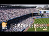 ¿Cuál es la diferencia entre la Liga Mayor de Béisbol y la LVPB?