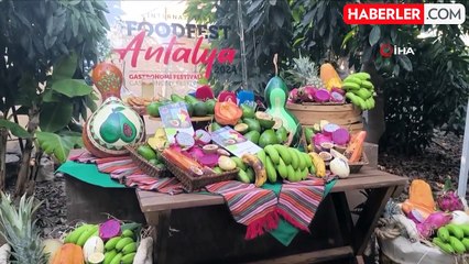 Foodfest Antalya'da Tropikal Meyve Hasadı Yapıldı