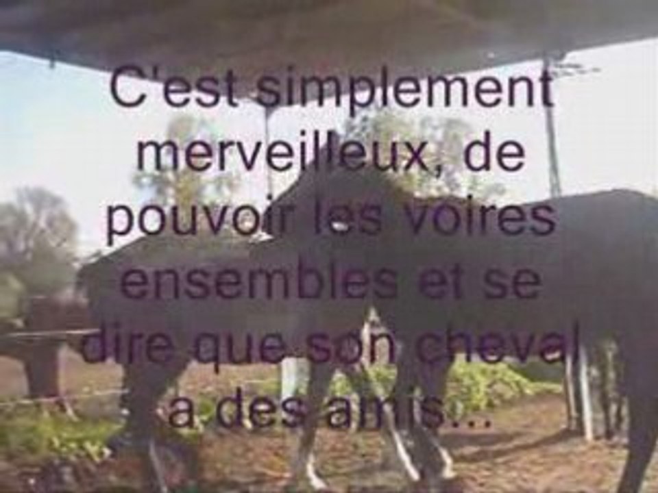 Liberté