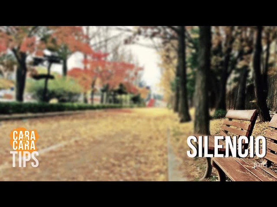 "En silencio ha tenido que ser"